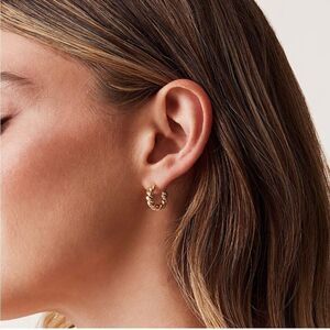 Twisted Rope 14k Gold Hoops